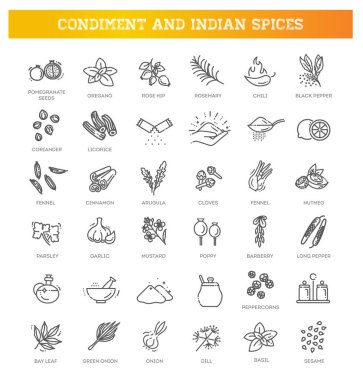 İnce baharatlar, baharatlar ve bitki ikonları.
