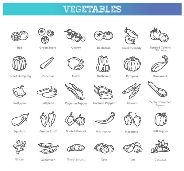 Basic vegetables thin line icon set