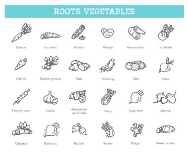 Vector collection with various kind of root vegetables clipart