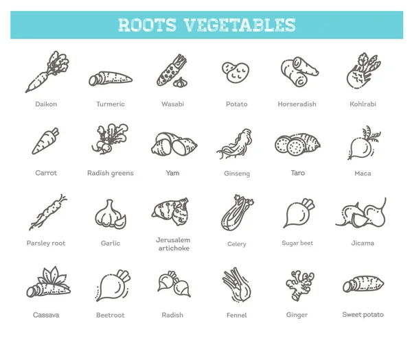 Collezione Vettoriale Con Vari Tipi Ortaggi Radice — Vettoriale Stock