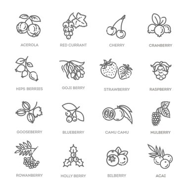 Orman çilekleri düz çizgi simgeleri - yabanmersini, yabanmersini, ahududu, çilek, kiraz
