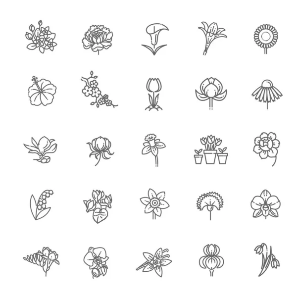 Set Van Bloemen Pictogram Plat Ontwerp — Stockvector