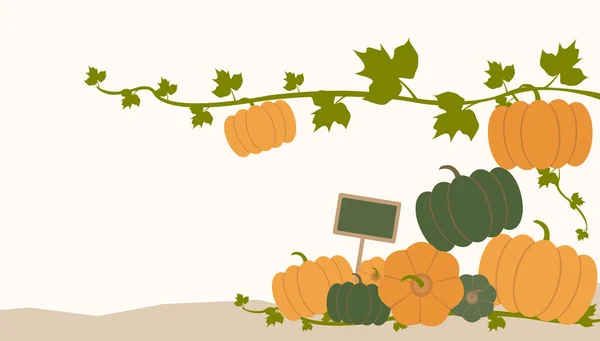 Zucche autunno autunno — Vettoriale Stock