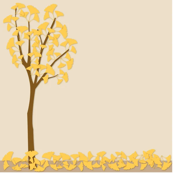 arka plan, ginkgo ağacı yaprak