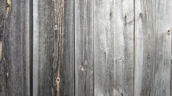 The wooden wall displays a variety of worn planks, showcasing a blend of gray and brown hues. Sunlight highlights the textures and details, creating a rustic atmosphere perfect for outdoor settings.
