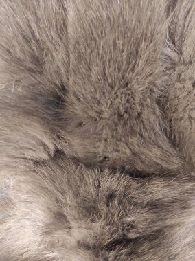 Yumuşak gri kürkün yakın çekimi karmaşık dokuları ve sıcaklığı ortaya çıkararak doğal liflerin güzelliğini vurgular. Moda tasarımı ve tekstil ile ilgilenenler için mükemmel..