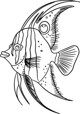 Minimalist siyah çizgi karalama tekniğinde el yapımı melek balığı tarzı tropikal balıklar. Okyanus tasarımları, markalaşma, desenler ve dekorasyon için beyaz arkaplanda izole edilmiş zarif bir görünüm çizimi.