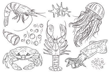 El yapımı deniz hayvanları denizanası, yengeç, ıstakoz, karides, mürekkep balığı ve deniz yıldızı ile karalama seti. Minimalist siyah çizgi çizimleri ışık arka planında izole edilmiş. Okyanus temalı tasarımlar, desenler, baskılar ve çocuk projeleri için mükemmel.