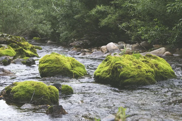 Piedras verdes en el río de la montaña —  Fotos de Stock