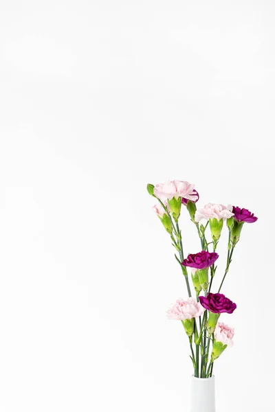 Beautiful flowers at white background. Modern interior details. — Stock Photo, Image