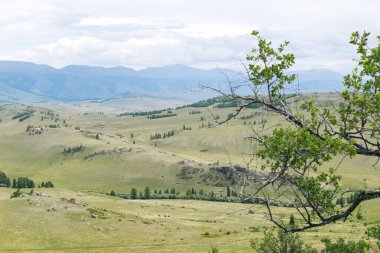 Altai vadisi ve bulutlu gökyüzü ile manzara.