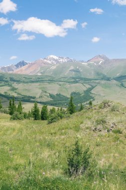 Altai dağları ve mavi gökyüzü ile manzara.