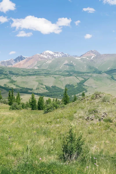 Altai dağları ve mavi gökyüzü ile manzara.