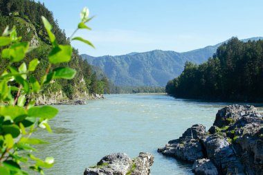 Katun nehri dağların yakınında akıyor.. 