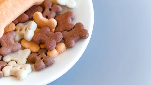 Food for pets such as dogs and cats in a white saucer on a blue background with a place for text. Delicacy close-up. Concept for advertising pet food