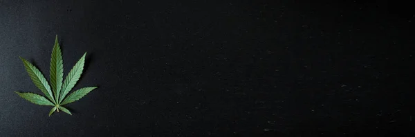 Верхний Вид Листьев Конопли Черном Фоне Марихуана Оставляет Прекрасный Темный — стоковое фото