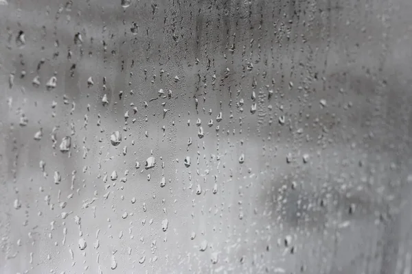 Dripping Condensação Gota Água Fundo Chuva Gota Condensação Textura Close — Fotografia de Stock