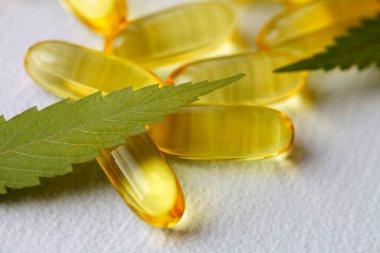 Tıbbi esrar ürünleri, yaprak, kapsüller ve beyaz arka planda CBD yağı. Biyolojik bitkisel bitkilerle birlikte jelatin softgeller. Organik beslenme takviyeleri