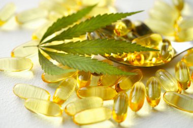 Tıbbi esrar ürünleri, yaprak, kapsüller ve beyaz arka planda CBD yağı. Biyolojik bitkisel bitkilerle birlikte jelatin softgeller. Organik beslenme takviyeleri