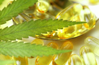 Kenevir CBD kapsülleri, yaprakları, CBD kenevir yağı kapsülleri içeren, kopyalama alanı olan beyaz bir tıbbi kenevir ürünüdür.