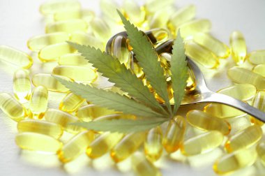 CBD yağ kapsülleri ve kenevir yaprakları. Biyolojik ve ekolojik kenevir bitkisinin kapsüllerini kapatın bitkisel eczacılık cbd yağı
