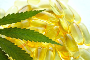 Beyaz arka planda esrarın temel yağ kapsülleri. CBD yağ kapsülleri ve kenevir yaprakları