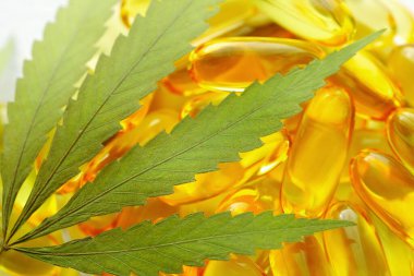 Beyaz arka planda esrarın temel yağ kapsülleri. CBD yağ kapsülleri ve kenevir yaprakları