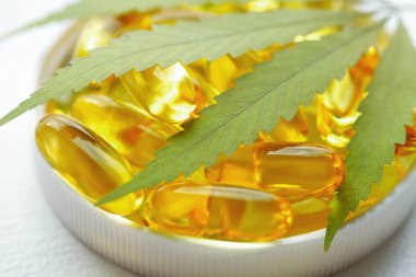 Kenevir yağı kapsülü konsepti, CBD yağ kapsülleri ve kenevir yaprakları. Biyolojik ve ekolojik kenevir bitkisinin kapsüllerini kapatın bitkisel eczacılık