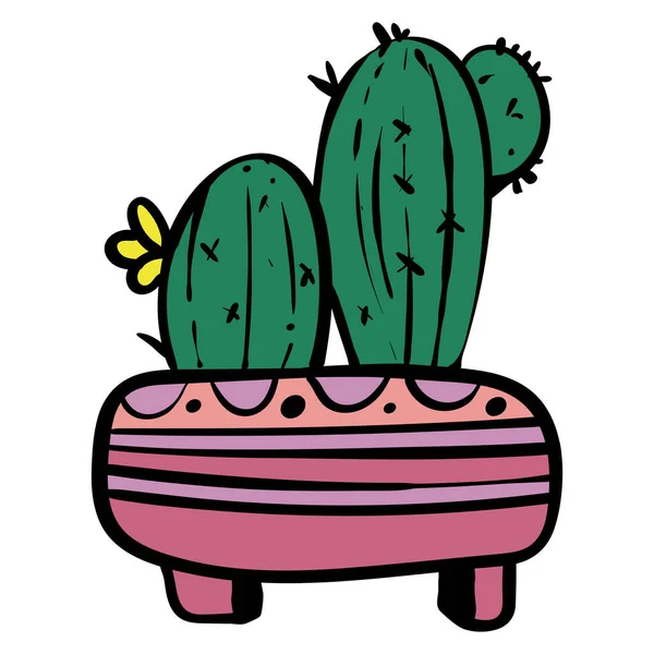 Cactus Potenciômetro Multicolorido Planta Ambiente —  Vetores de Stock