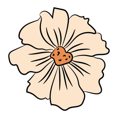 Çiçek Çiçeği İllüstrasyonu, Kehanet İçin Papatya