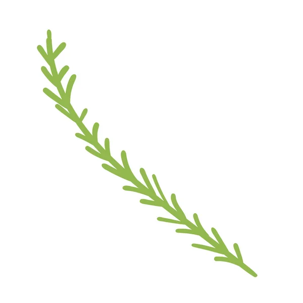 Zweig Blätter Pflanze Illustration Design Element — Stockvektor