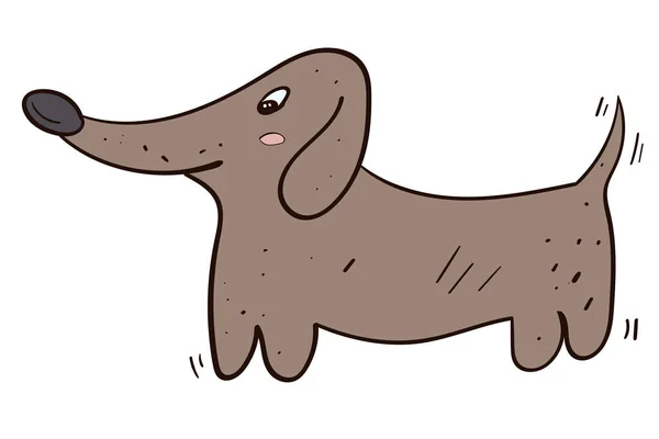 Run Happy Dachshund Animal Cartoon Illustration Vector — 스톡 벡터
