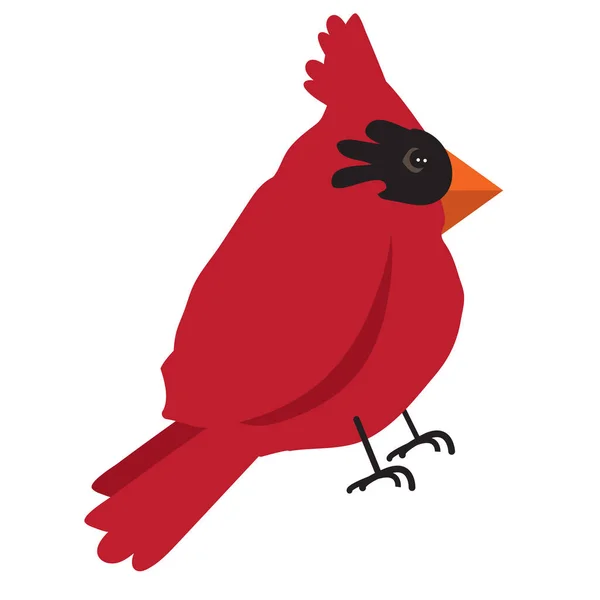 Cute Bird Red Cardinal Senta Ilustração Vetorial —  Vetores de Stock