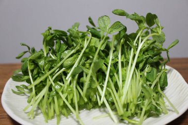 Tokyo, Japonya 'daki bir süpermarketten taze dou miao (bezelye filizleri) satın alındı.