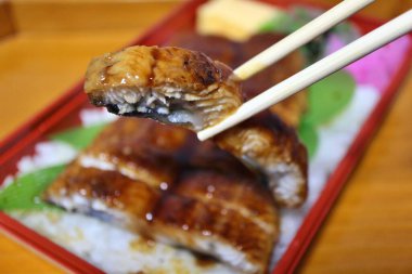 Unagi Kabayaki (ızgara yılan balığı) bento kutusu Tokyo, Japonya 'da bir süpermarketten satın alınmıştır.