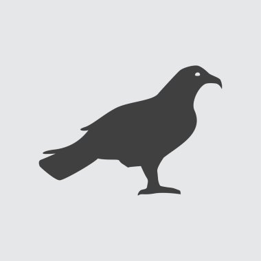 Martı simge tasarlamak