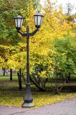 Sonbahar Park elektrik direği