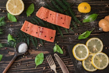 Fern bir dalı olarak somon fileto