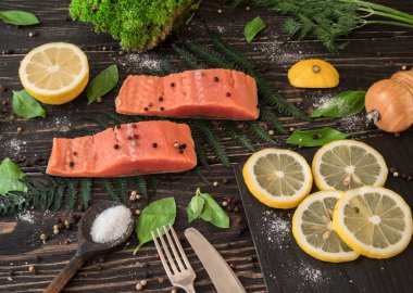 Fern bir dalı olarak somon fileto