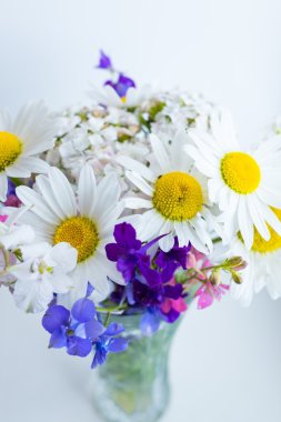 Kır çiçekleri hafif bir arka plan üzerinde