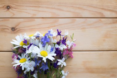 Ahşap arka plan üzerinde kır çiçekleri