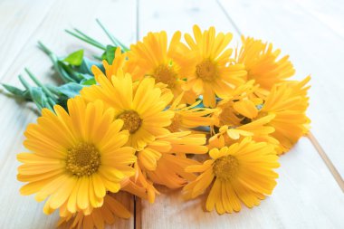 Eski bir ahşap zemin üzerine Calendula çiçekler