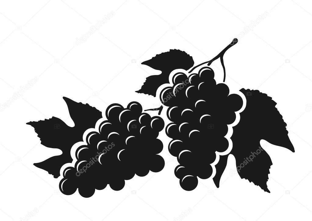 Wine Grapes Silhouette