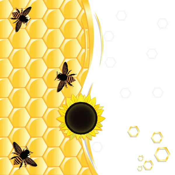 Panales Semillas Girasol Abejas Sobre Fondo Blanco Con Lugar Para — Archivo Imágenes Vectoriales