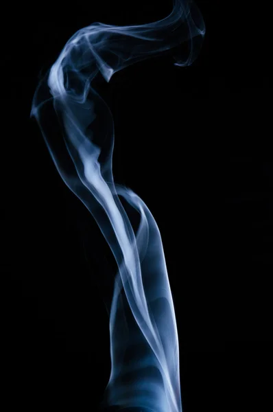 Дым - лилия — стоковое фото