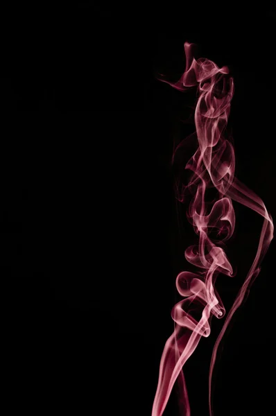 Fumaça - Rose Renaissance — Fotografia de Stock