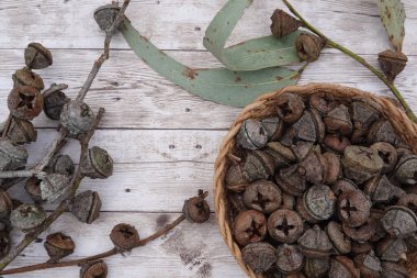 Dokuma sepetinde okaliptüs gumnut ve Avustralya florasının sembolü olan beyaz tahta yapraklı dallar.