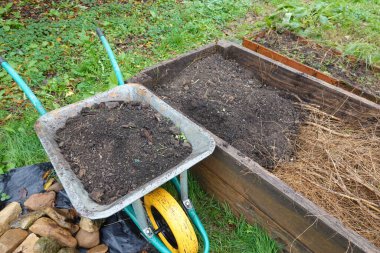 Yükseltilmiş ahşap bir bahçe yatağına varan zengin topraklı el arabası sebze ekmeye ve yetiştirmeye hazırlanıyor.