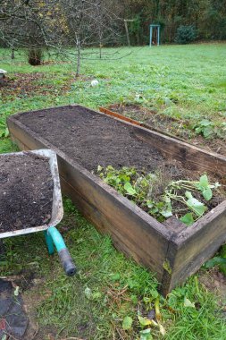 Zenginlerle dolu ahşap bir bahçe yatağı, arka bahçedeki bir el arabasının yanına yerleştirilmiş, yeni bir büyüme için hazırlanıyor.