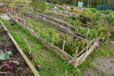 Dokuma boynu, organik sebzeler yetiştirmek ve çiçek açmak için bir bahçe yatağı oluşturuyor.